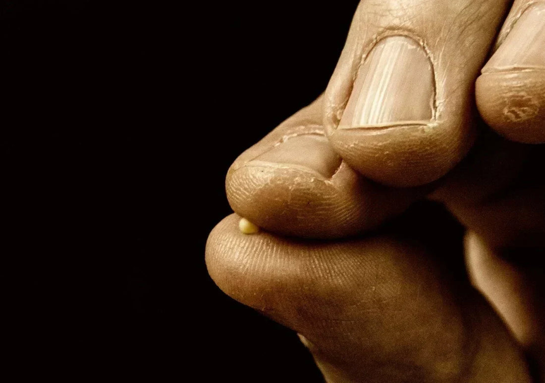 Man sitting at a sunlit window with open hands, Bible and coffee nearby — What I Can Control Today, Who I Can Love Right Now | Chief of the Least Blog by Identity Thread